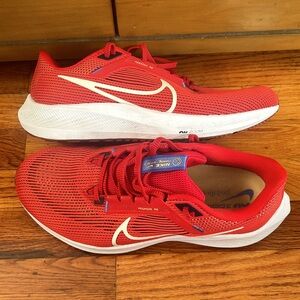 Nike Air Zoom Pegasus 40 Sz M10XE